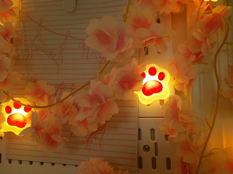 glowing paw lights and pink blossoms