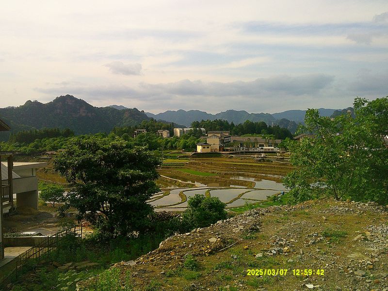 terraced fields and green hills